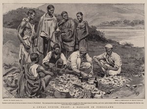 Um banquete barato de ostras, uma barganha em Pondoland
